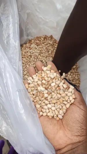 Oloyin Beans/ Ewa Oloyin/ Honey Beans