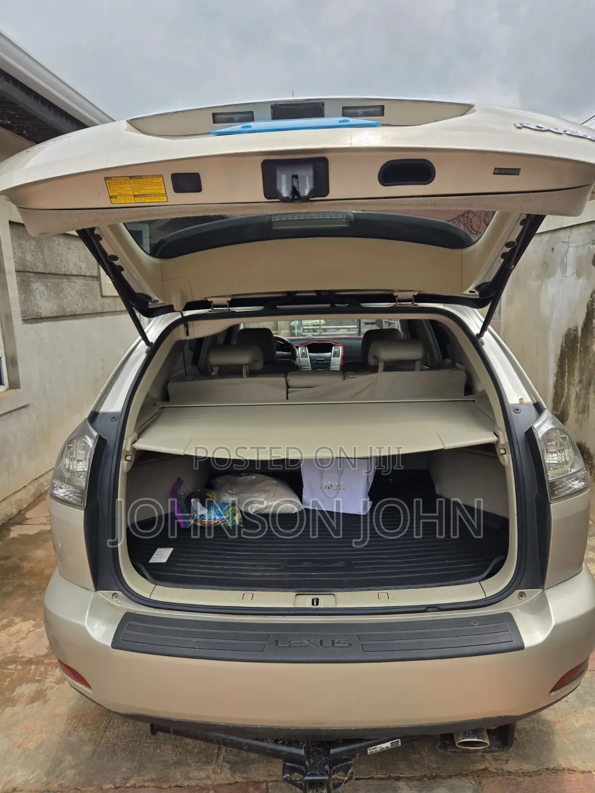 Lexus RX 2009 Silver