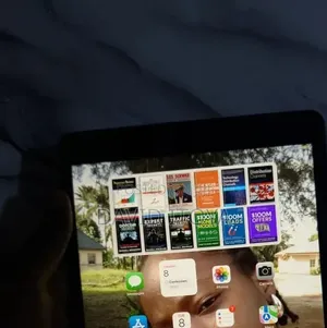 Apple iPad 10.2 (2020) Wi-Fi 256 GB Silver