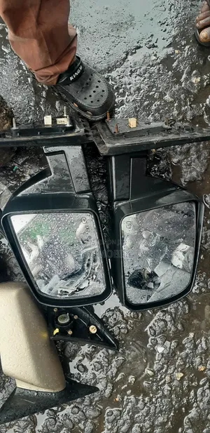 Toyota Tundra 2010 Set of Side Mirror With Light