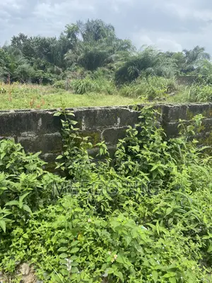 Dry Land for Sale Ogunfayo Ibeju Lekki Lagos