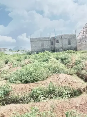 1 Plots of Land