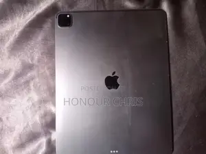 Apple iPad Pro 256 GB Gray
