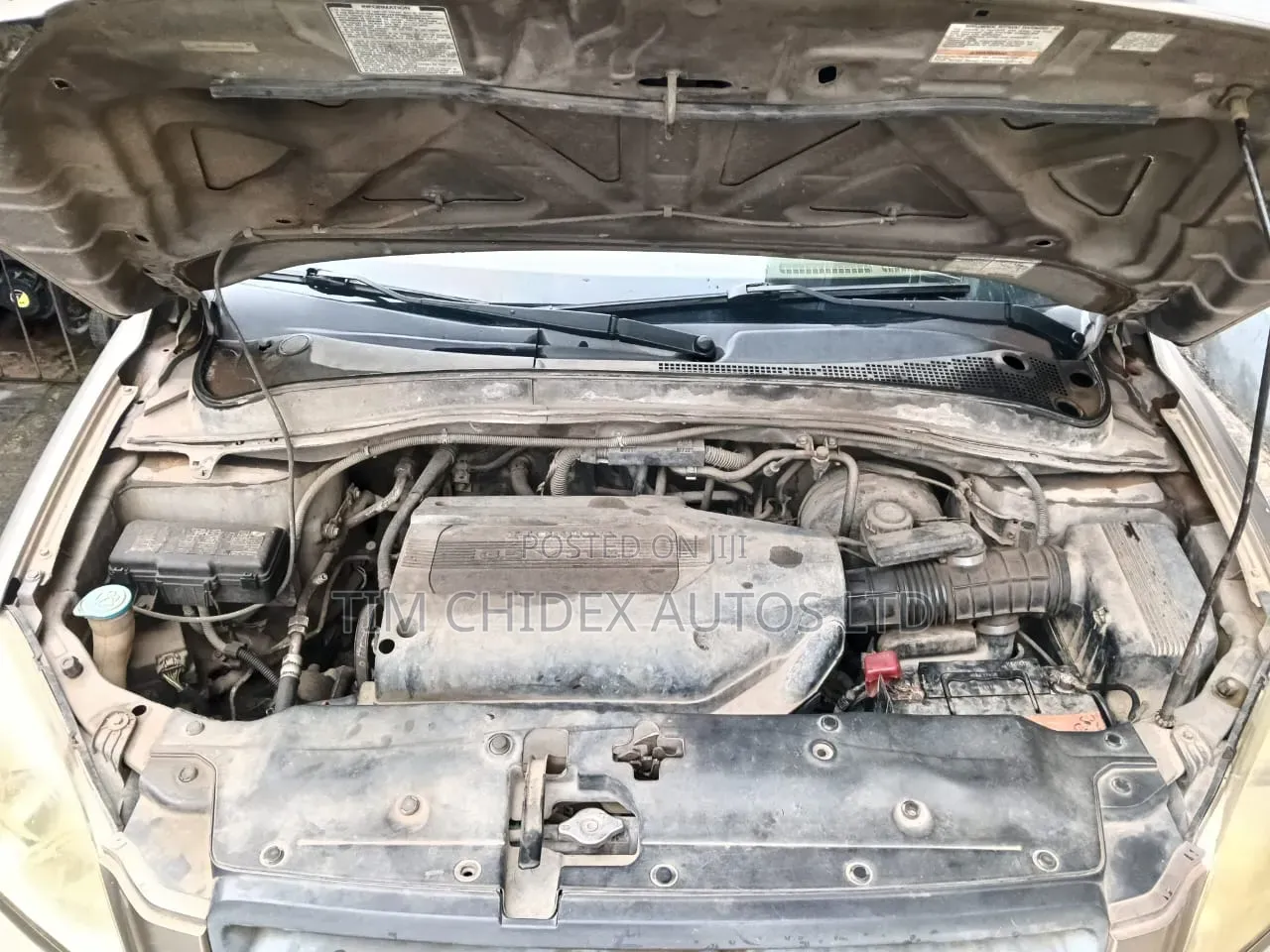 Honda Pilot EX 4x4 (3.5L 6cyl 5A) 2004 Gold