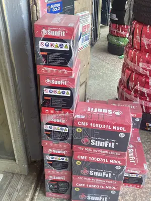 Orginal Car Battery