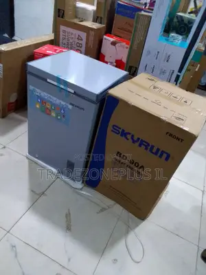 Skyrun BD-90A Freezer – Keep Your Food Frozen Longer