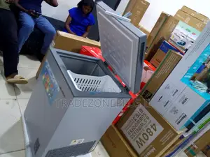 Buy Skyrun BD-90A Chest Freezer Today
