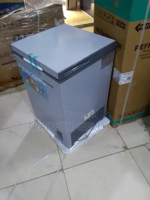 Skyrun BD-90A Deep Freezer – Convenient Food Preservation