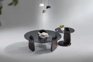 Modern 2-in-1 Coffee Table Set Featuring Smoke-Tinted Round Glass Top