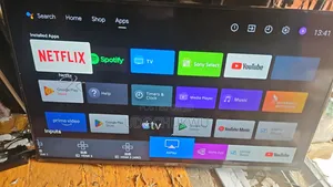Television