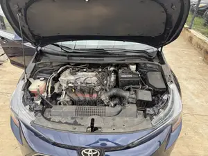 Toyota Corolla LE 2021 Blue