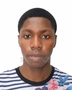 That Delivery Guy Apapa Mainland