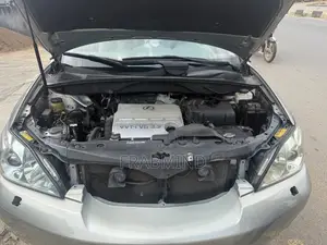 Lexus RX 330 2006 Gray