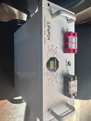 LUXWATT 2.56kWh 24V (25.6V 100Ah) LiFePO4 Lithium Battery