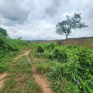5.3acres of Land (22,593sqm) With CofO at Badeku Ibadan