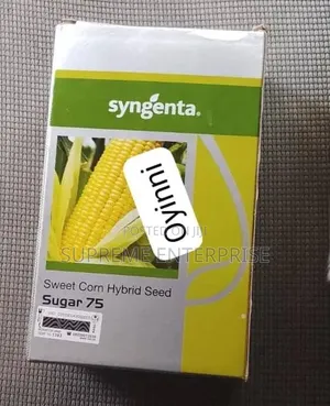Sweetcorn for Sale