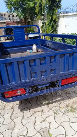 Tricycle 2019 Blue