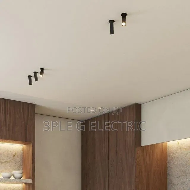 Movable Ceiling Spot Light