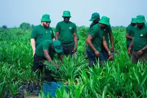 Investment Palm Farm Land With Harvest Income Potential – Abeokuta