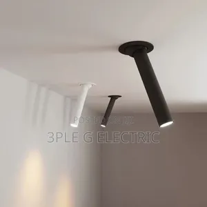 Adjustable Indoor Spot Light