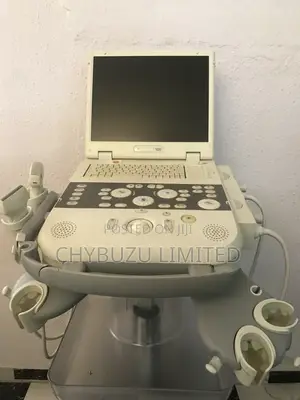 Simens Acuson P300