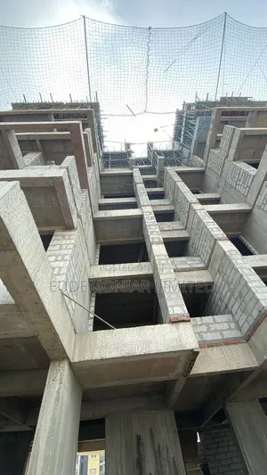 Professional Building Work