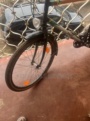 Hybrid Bicycle