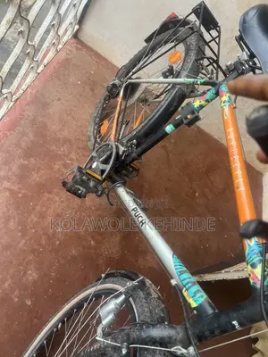 Hybrid Bicycle