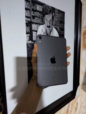 Apple iPad mini 7 256 GB Gray