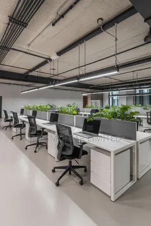 Office Layout and Decor