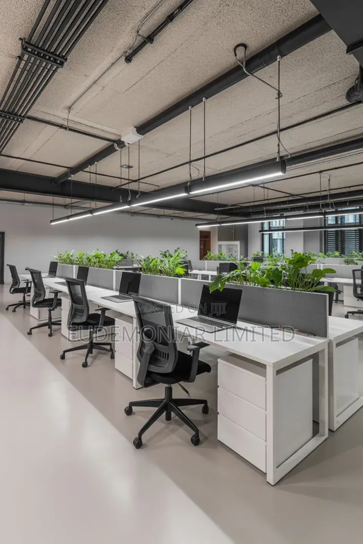 Office Layout and Decor