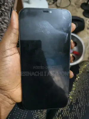 Apple iPhone 12 Pro Max 128 GB Black