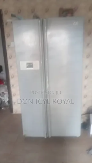 2 Doors Double Freezer