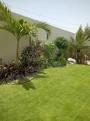 Landscaping Designer