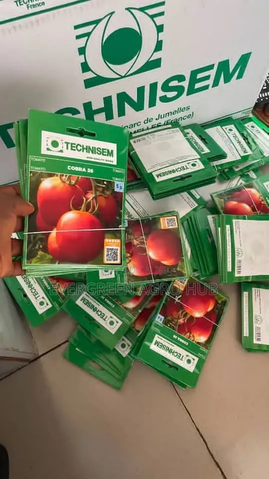 Cobra 26 Tomato Seed 5g