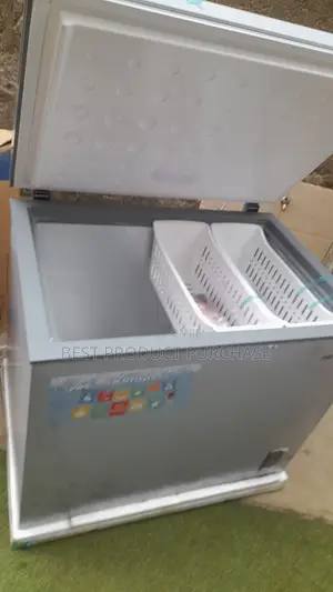 Brand New SkyRun BD-260A Chest Freezer – Modern Design