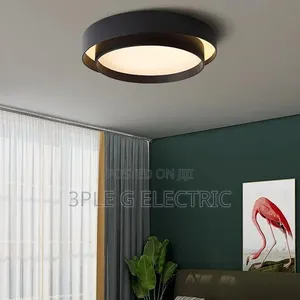 Not Your Regular Ceiling Flush Light