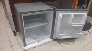 Skyrun BCD-50HW Compact Refrigerator