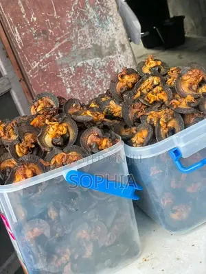 Sand Free Oron Crayfish Have Drop Ooooh