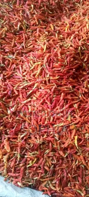 Sand Free Oron Crayfish Have Drop Ooooh