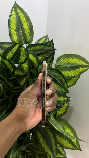 Apple iPhone 14 Pro Max 256 GB White