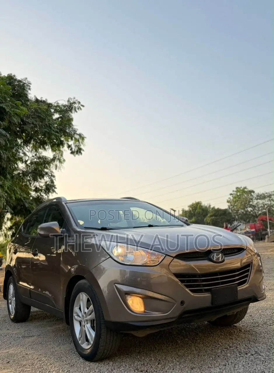 Hyundai Ix35 2013 Brown