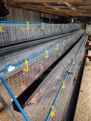 We Make Battery Cages for Your Poultry Birds. The Price Is Per Unit