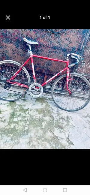 Rider Bicycle Rider