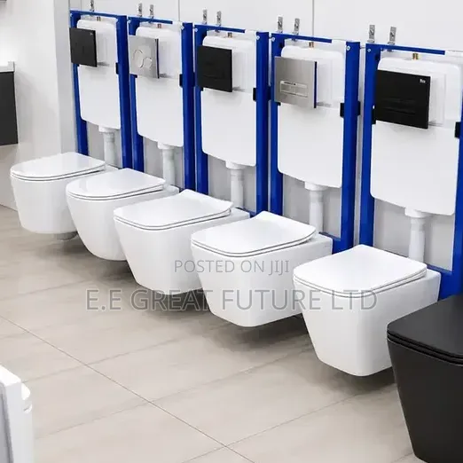Conceal Water Closet W C