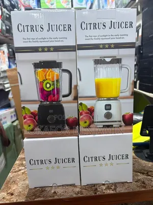 High Quality Rechargeable Juicer