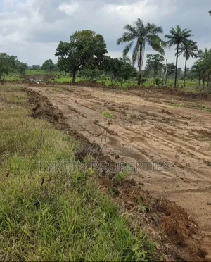 Certificate of Occupancy