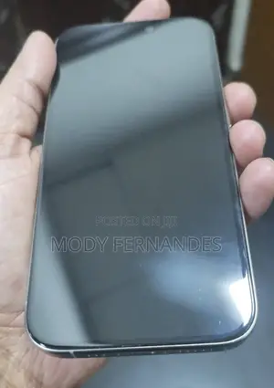 Apple iPhone 15 Pro 256 GB Silver