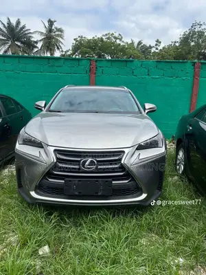 Lexus NX 2015 Gray