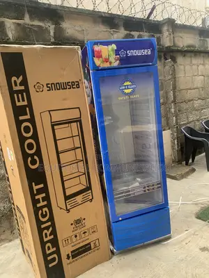 Snowsea Glass Showcase Beverage Cooler